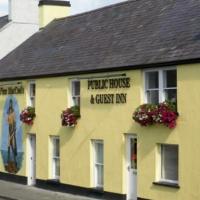 Finn MacCools Public House & Guest Inn, hotel in Bushmills