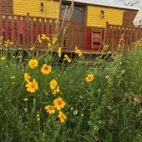 la roulotte de l'ami nature, hotel u gradu Barrais-Bussolles