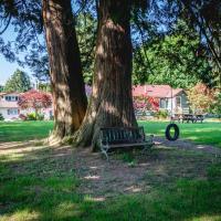 a park bench sitting under a tree in a park at Bramblebank Cottages, Harrison Hot Springs
