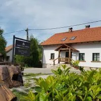 Brandy House Hedonica, hotel em Otruševec