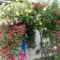 B&B Vento di Rose, хотел в Monterubbiano