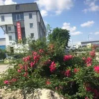 Autopark Hotel, hotel a Lviv