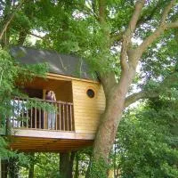 La Cabane aux Secrets - Domaine du Der, au milieu de nulle part, hotel v destinácii Outines