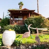 Nof kinnert, khách sạn ở Moshav Ramot