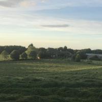 Hookcar Hill Cottage, hotel in Bedale