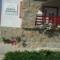 Pensiunea Agroturistica Ioana, hotel u gradu Brăduleţ
