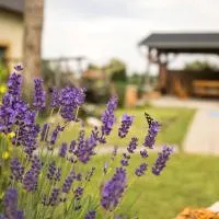 Penzion Živá Pálava, hotel a Klentnice