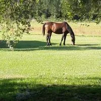 Kokomo Farms, hotel u gradu Lajv Ouk