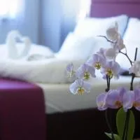 Fitromax Sportpanzió Ajka, hotel u gradu 'Ajka'