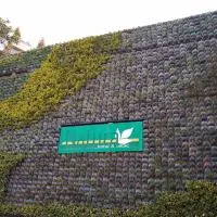 Hotel y Villas Natura, hotel a Città del Messico