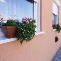 Boróka Vendégház Túrkeve, hotel a Túrkeve