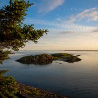 Bl&oacute;masetri&eth; Homestay, hotel in Borgarnes
