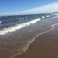 Seaside chalet,Aboiteau beach cottage rentals,cap pele, hotel em Cap-Pele