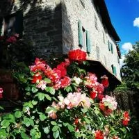 Podere I Rovai-apt IL RIFUGIO- in the heart of Tuscany, hotell i Reggello