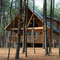 The Cabins at Pine Haven - Beckley、BeaverにあるRaleigh County Memorial - BKWの周辺ホテル