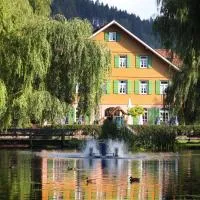 Hotel Zur alten Mühle, хотел в Нойенбург