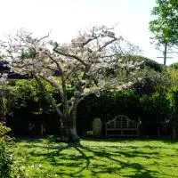Garden Retreat, hotel v mestu Otaki