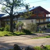 Berghotel Mooshütte am Arber, Naturidyll auf 950m, hotell i Lohberg