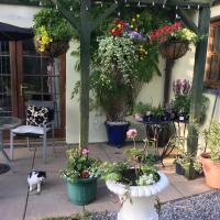 The Olive Branch at The Poplars, hotel in Kilgetty