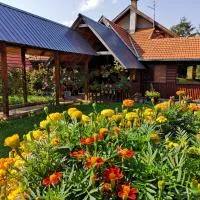 Guesthouse Ramović, ξενοδοχείο στο Ζλάτιμπορ