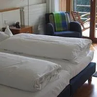Hotel Oberschwaebischer Hof, hotel en Schwendi