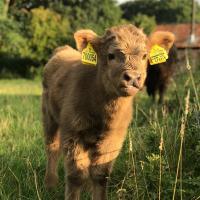 The Earsdon Annexe, hotel in North Walsham