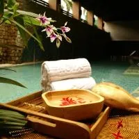 Hoya Hot Springs Resort & Spa, hotel u gradu Wenquan