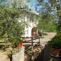 Casa le Betulle: Montespertoli'de bir otel