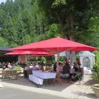 Diamanthotel Idar-Oberstein、イダー・オーバーシュタインのホテル