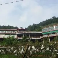 King Villa, Hotel in Heping