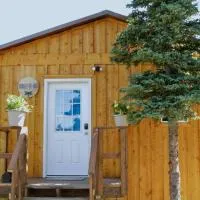 Arctic Dragonfly Inn, hotell sihtkohas Healy