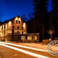 Dom Nad Wodospadem, hotel en Międzygórze