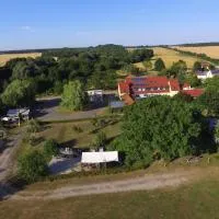 Star Camp Cosa, Ferienwohnungen, Camping, Schlaffässer, hotel Friedlandban