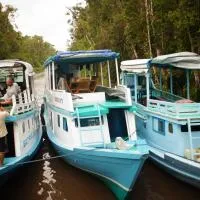 Kelotok Orangutan Tanjung Puting, hotel din Kumai