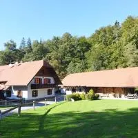 Domačija Šeruga Countryside hotel, Hotel in Novo Mesto