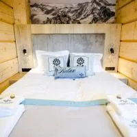 Skansen Holiday: Cholerzyn şehrinde bir otel