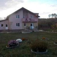 Casa Floro, מלון בComăneşti