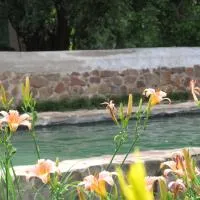 Hillside Farm, hotell i Trompsburg