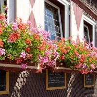 Landgasthof Zum Stern Wasserkuppe Rhön, hotel v destinaci Poppenhausen