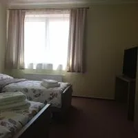 Viesnīca Penzion OSTROV pilsētā Kostelec