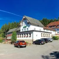 Hotel Rodebachmühle, hotel en Georgenthal