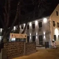 Zur Friedenseiche، فندق في آيشاخ