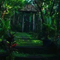 bucu hidden guest house, and meditation center, hotel a Payangan