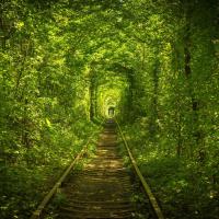 Hotel Tunnel of Love, hotel em Klevanʼ