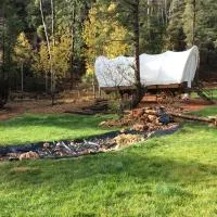 Whispering Pines Covered Wagons โรงแรมในLong Valley Junction