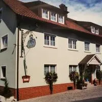 Landhotel Goldener Stern, hotel en Trautskirchen