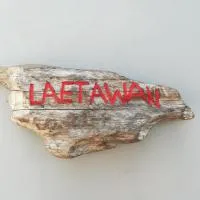 Lae Tawan Bungalow, hotel v destinaci Ko Chang Ranong