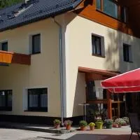 Seeblick Krippenstein, hotel Obertraunban