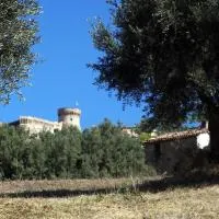 Agriturismo Aqua Viva、アックアヴィーヴァ・ピチェーナのホテル