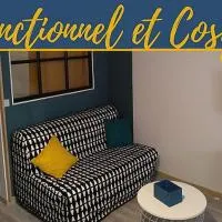 Joli petit logement en centre ville de Brioude, Hotel in Brioude